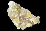 Lustrous Yellow Cubic Fluorite Crystal Cluster - Morocco #84304-1
